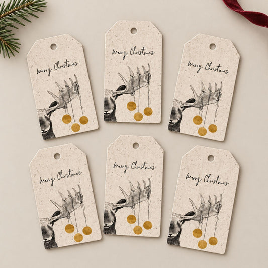 Geschenkanhänger Xmas mit Saatgut – nachhaltige Papeterie von Papeterre